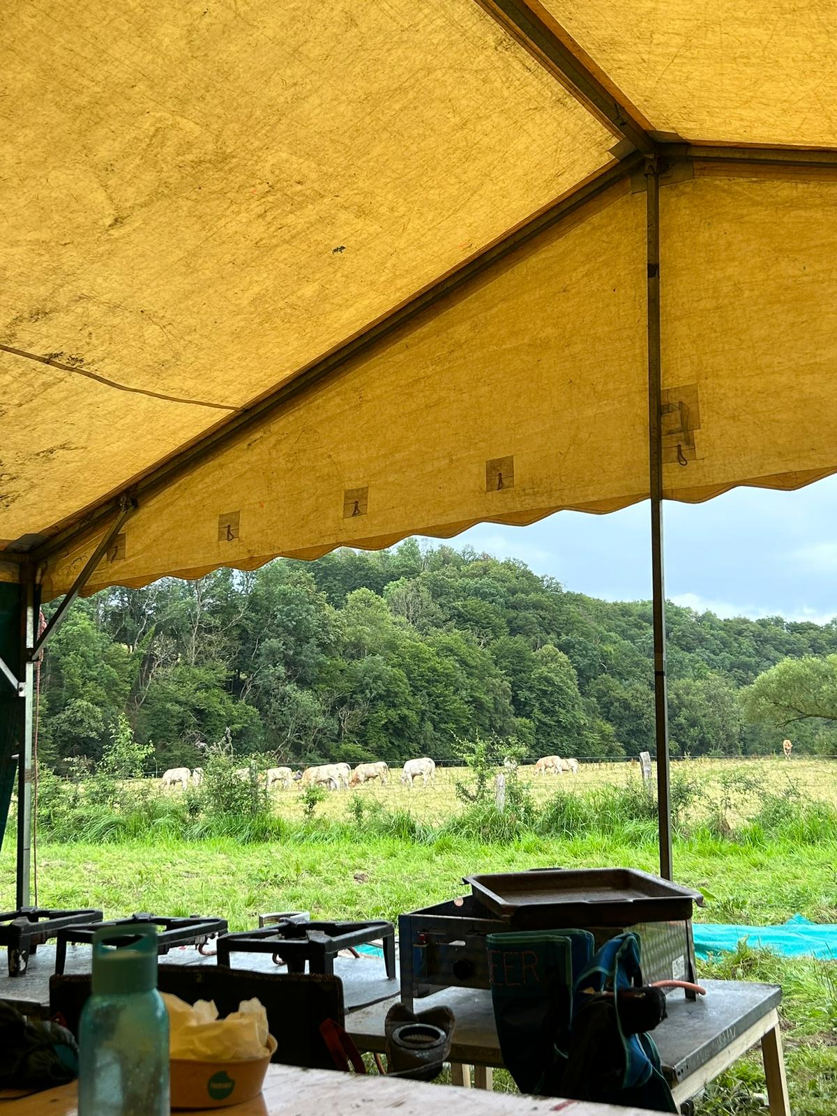 Gidsen De Vrede - Kamp 2024